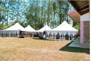 Buffalosprings_events